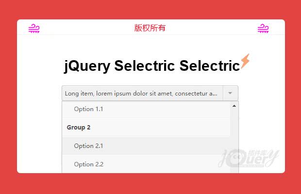 好用的自定义select下拉插件jQuery Selectric