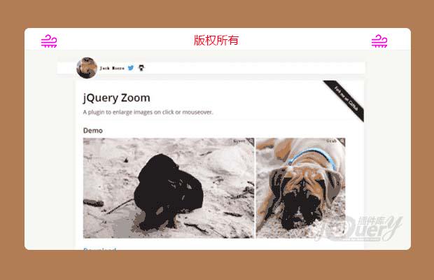 鼠标图片放大插件-JQUERY ZOOM