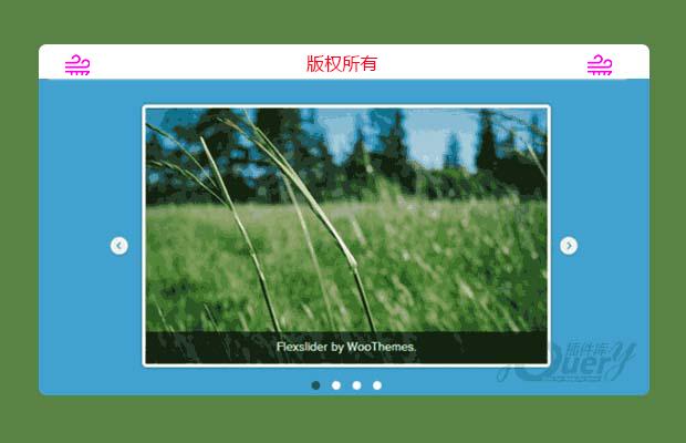 又一款幻灯片插件-FLEXSLIDER