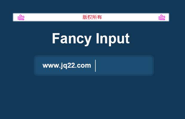 jquery文本输入动画效果插件Fancy Input